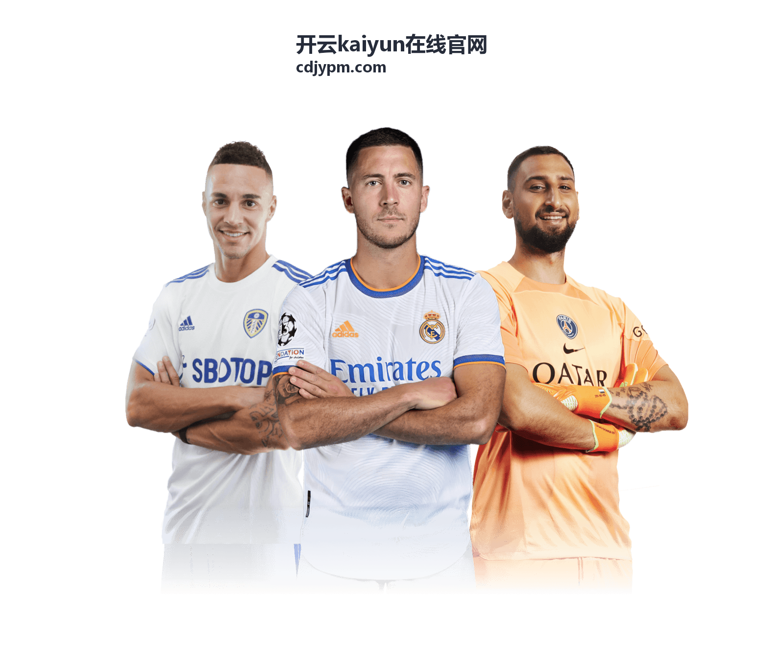 开云kaiyun在线官网会员等级与权益查询说明封面