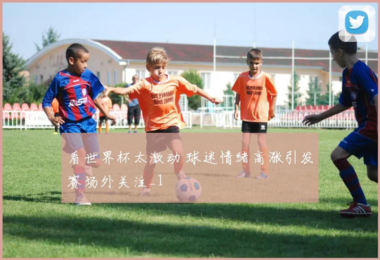 看世界杯太激动 球迷情绪高涨引发赛场外关注_1