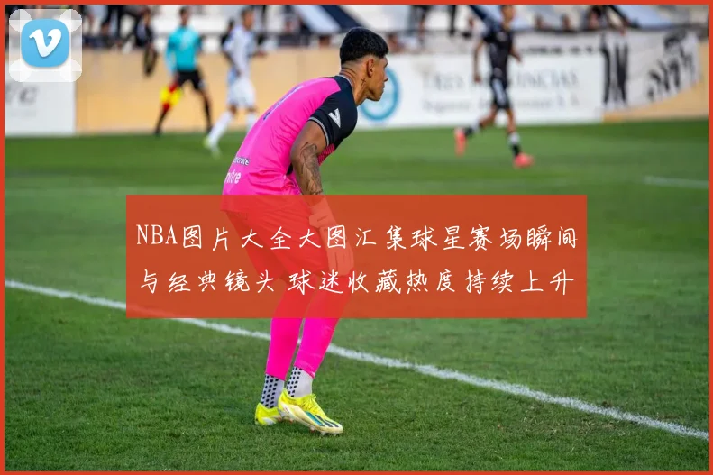 NBA图片大全大图汇集球星赛场瞬间与经典镜头 球迷收藏热度持续上升