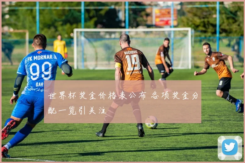 世界杯奖金价格表公布 各项奖金分配一览引关注
