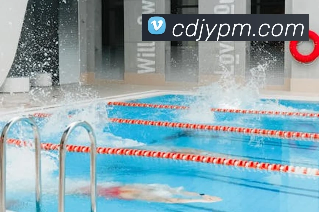 多媒体互动体验